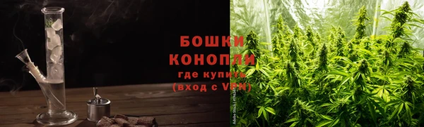 трава Осинники