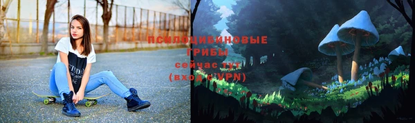 2c-b Осташков