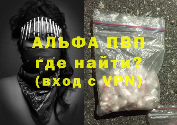 трава Осинники
