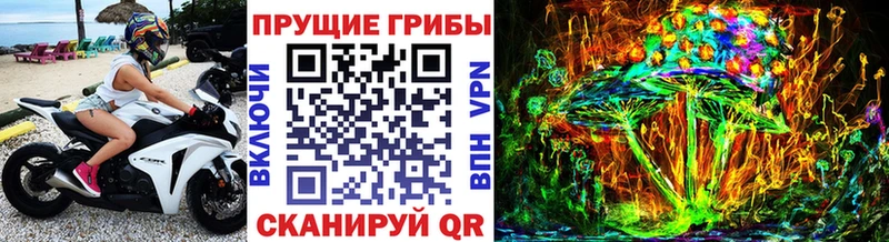 Галлюциногенные грибы ЛСД  Махачкала 