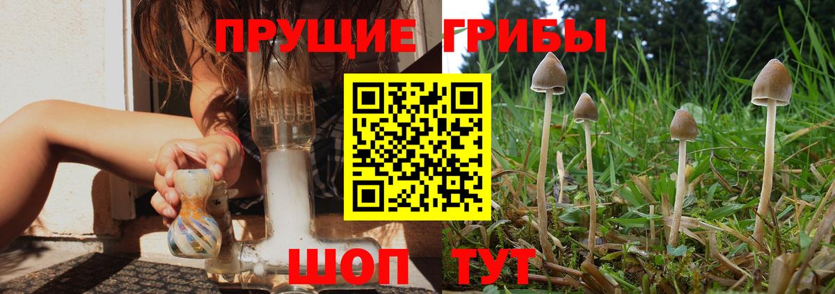 Махачкала  Псилоцибиновые грибы MAGIC MUSHROOMS  где найти   Вход с VPN 